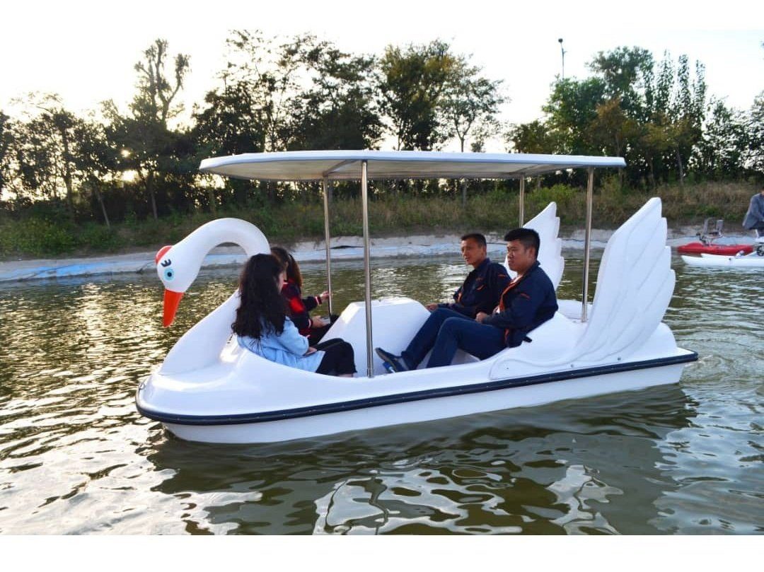 Swan Boat