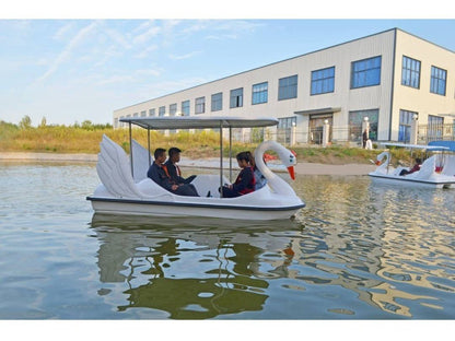Swan Boat