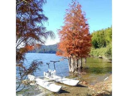 Eco Inflatable Water Bike